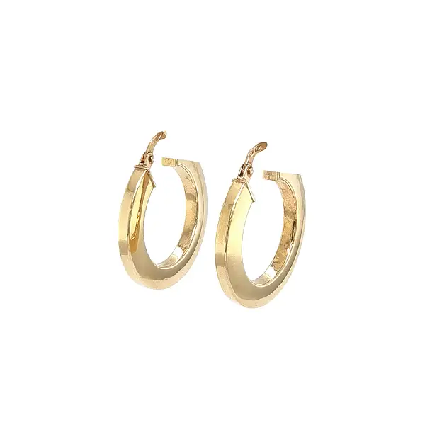 Elegant Gold Hoop Earrings