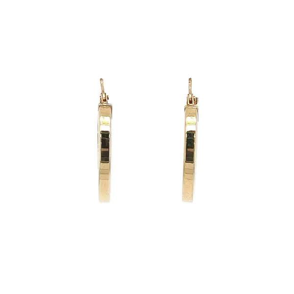 Elegant Gold Hoop Earrings