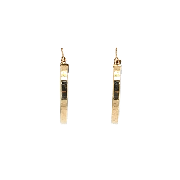 Elegant Gold Hoop Earrings