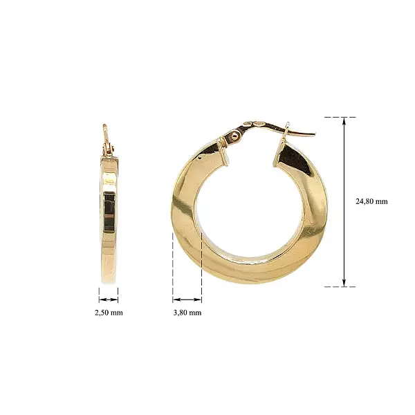 Elegant Gold Hoop Earrings