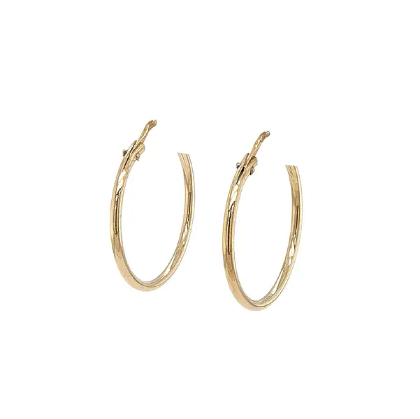 Elegant and Timeless Round Earrings in Gold