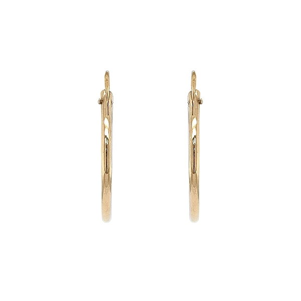 Elegant and Timeless Round Earrings in Gold