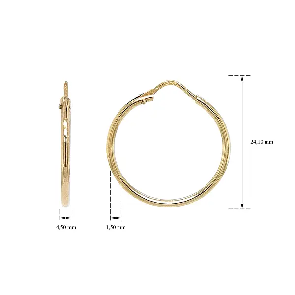 Elegant and Timeless Round Earrings in Gold