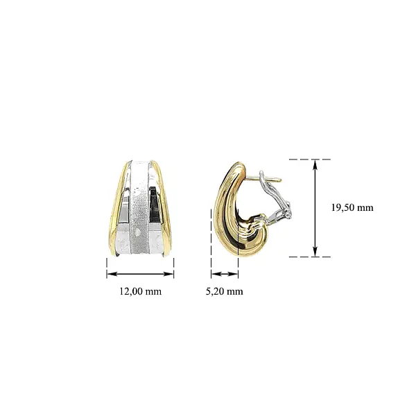 Earrings made of Combination Gold