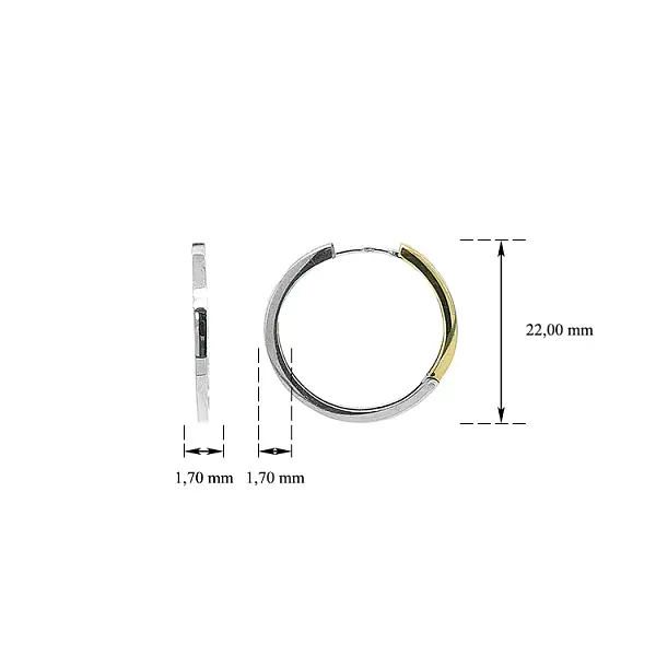 Round Earrings made of Combination Gold