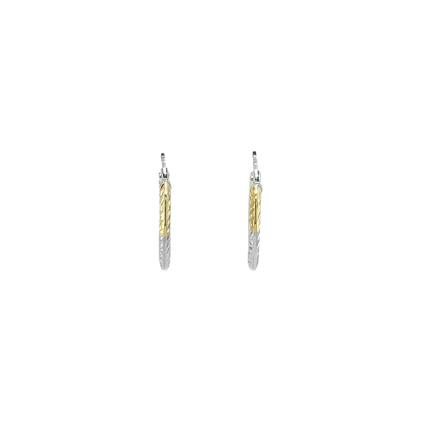 Round Earrings made of Combination Gold