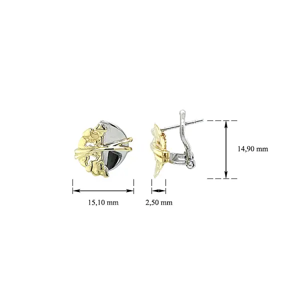 Earrings made of Combination Gold