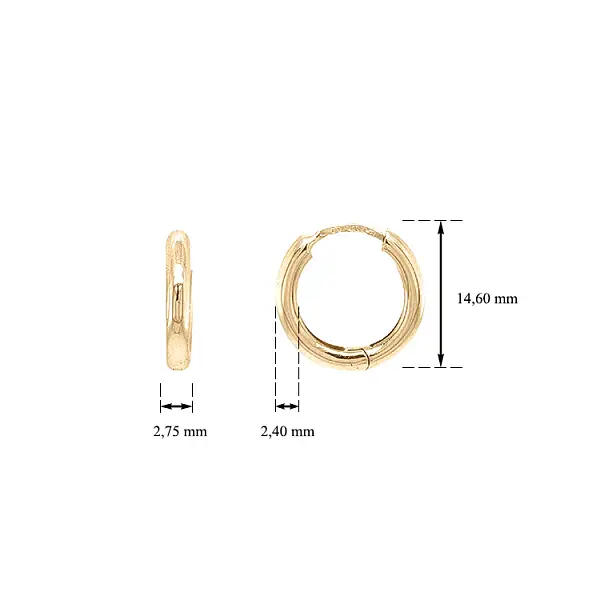 Gold Earrings Circles