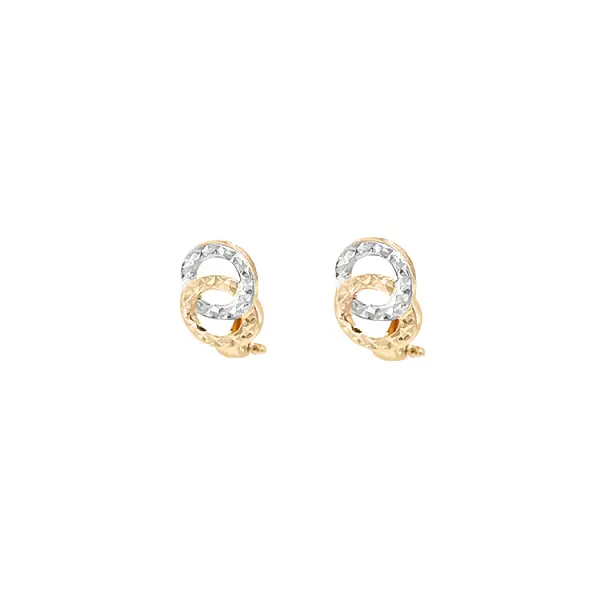 Earrings made of Combination Gold