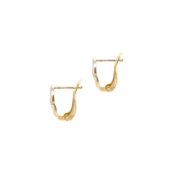 Earrings made of Combination Gold