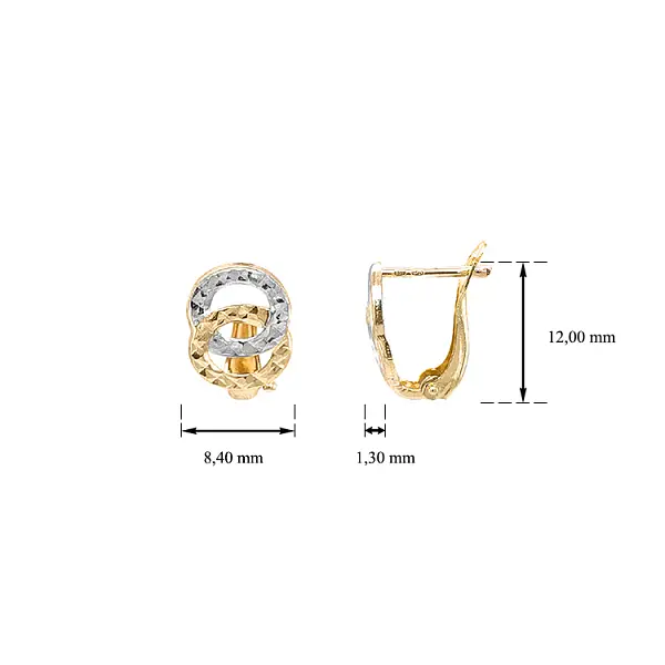 Earrings made of Combination Gold