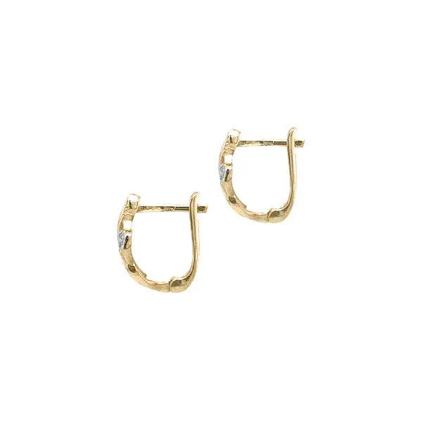 Gold Earrings with Zircons
