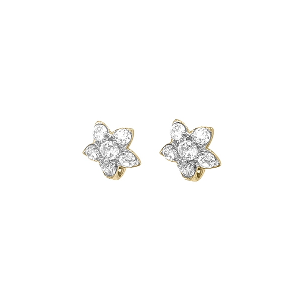 Gold Earrings with Zircons
