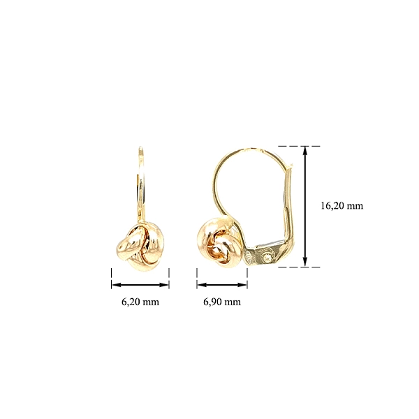 Gold Earrings