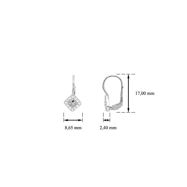 Gold Earrings with Zircons