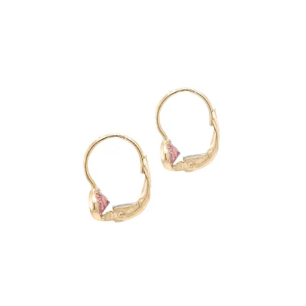 Gold Earrings with Zircons