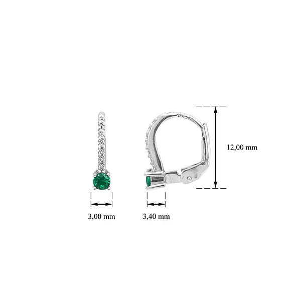 Gold Earrings with Zircons