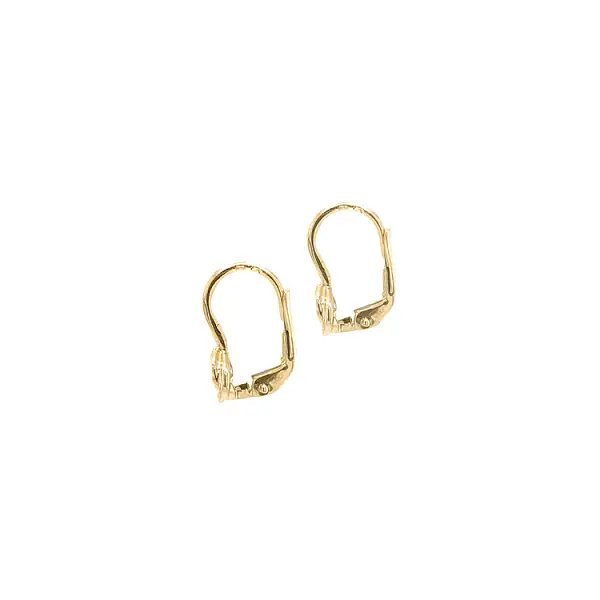 Gold Earrings with Zircons