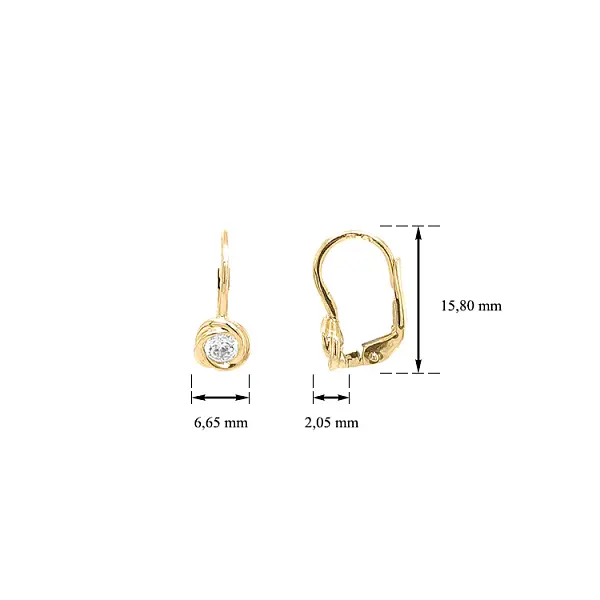 Gold Earrings with Zircons