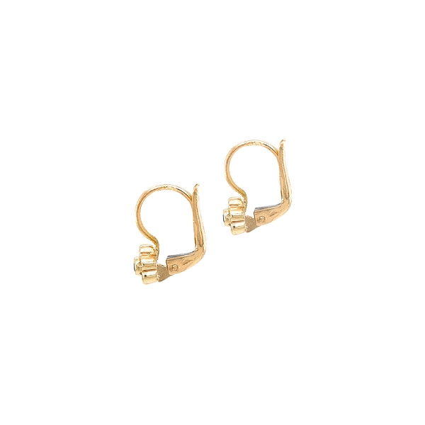 Gold Earrings with Zircons
