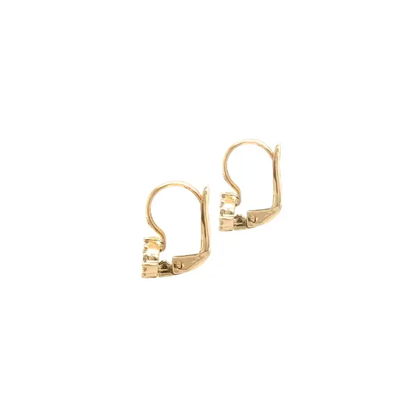 Gold Earrings with Zircons