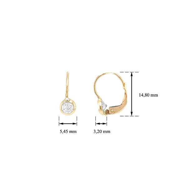 Gold Earrings with Zircons