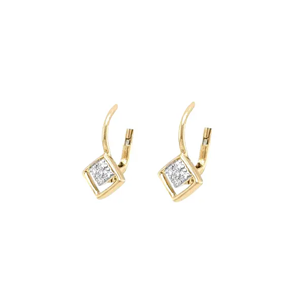 Gold Earrings with Zircons