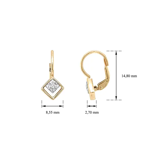 Gold Earrings with Zircons