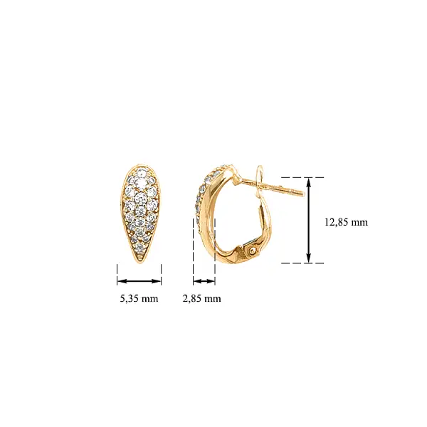 Gold Earrings with Zircons
