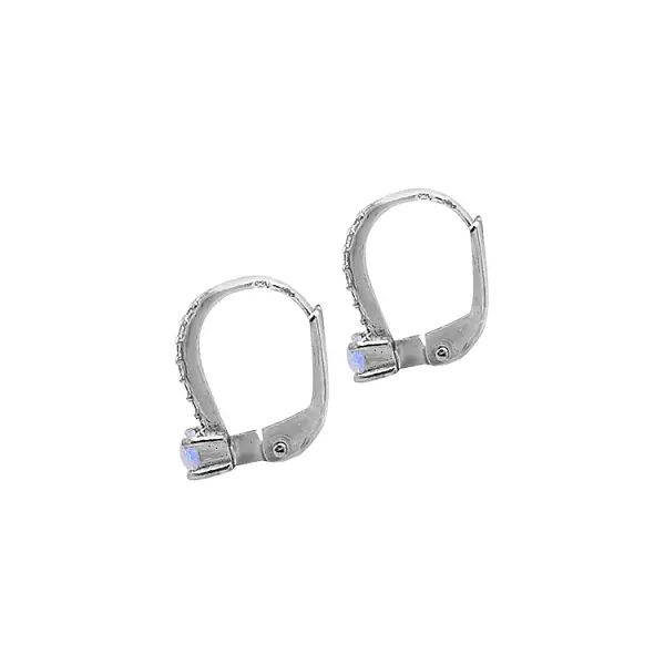 Gold Earrings with Zircons