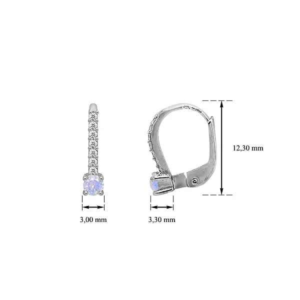 Gold Earrings with Zircons