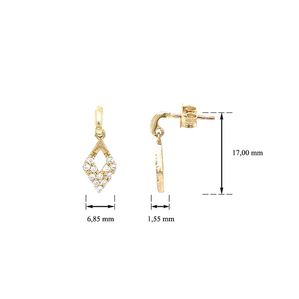 Gold Earrings with Zircons