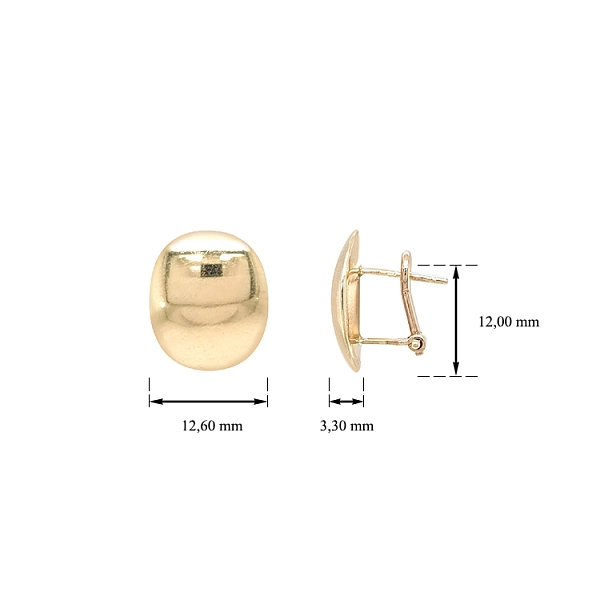 Gold Earrings
