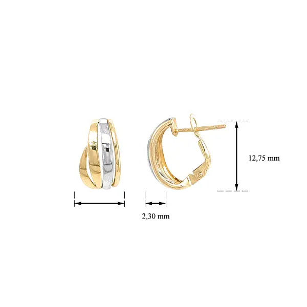 Earrings made of Combination Gold