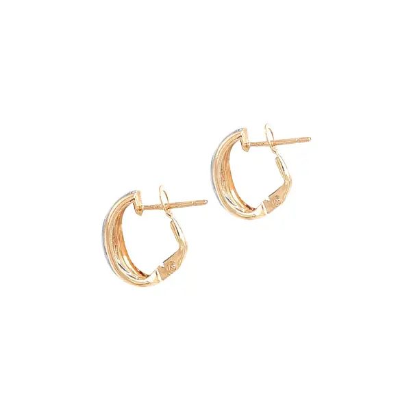 Earrings made of Combination Gold