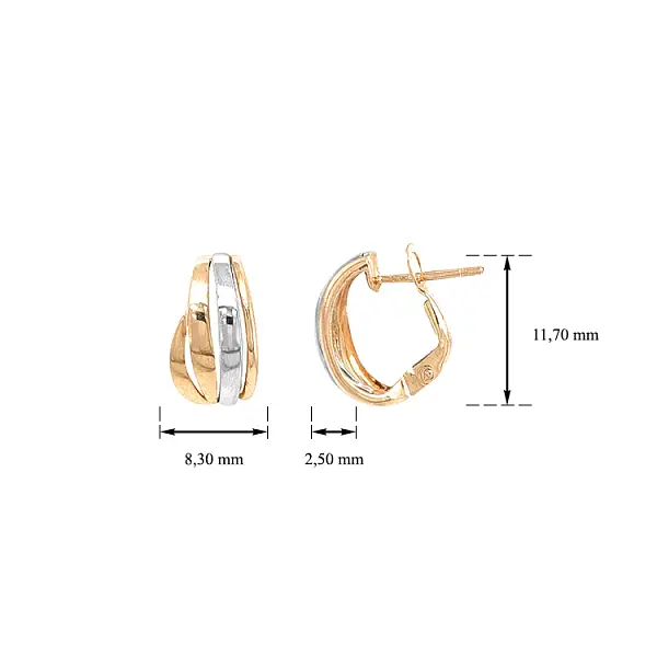 Earrings made of Combination Gold