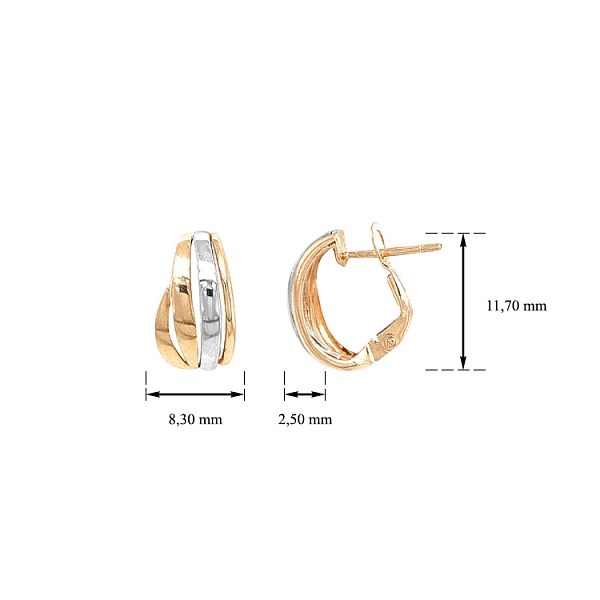 Earrings made of Combination Gold