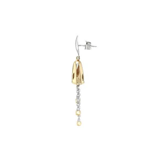 Gold Combination dangle earrings