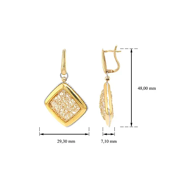 Gold dangle earrings