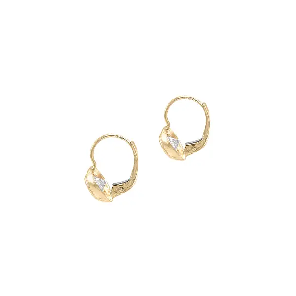 Gold Earrings with Zircons