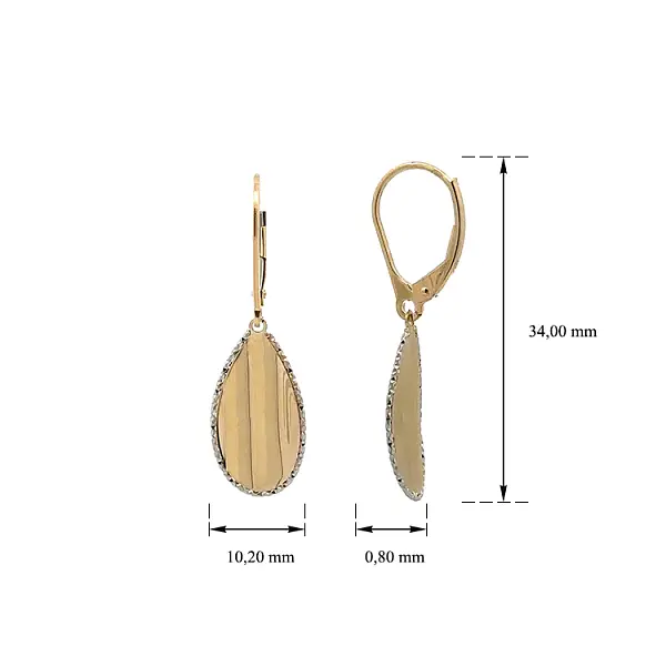 Gold dangle earrings