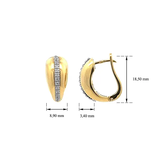Gold Earrings with Zircons