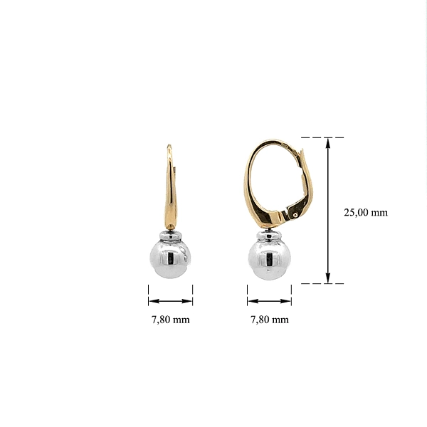 Earrings made of Combination Gold