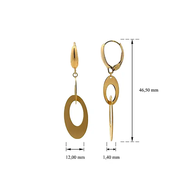 Gold dangle earrings