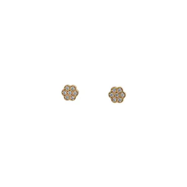 Gold Pecky Earrings with Zircones