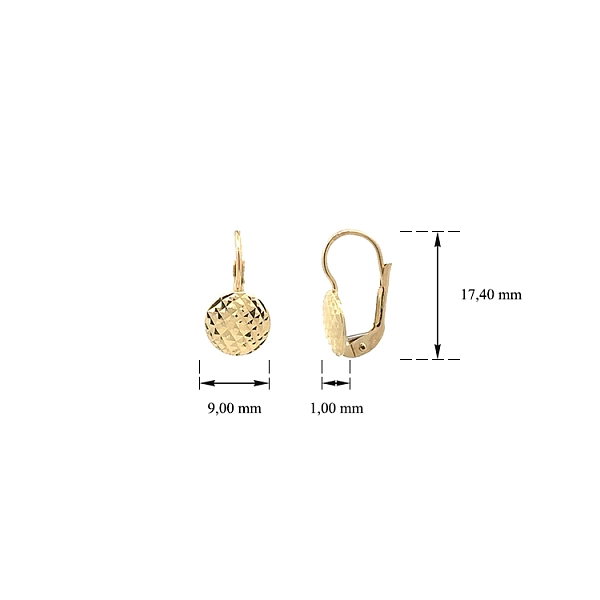 Gold dangle earrings