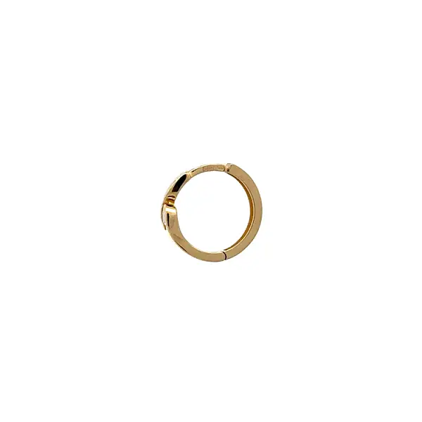 Gold Circular Earrings with Zircons