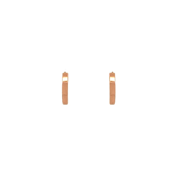 Golden Round Earrings made of Pink Gold
