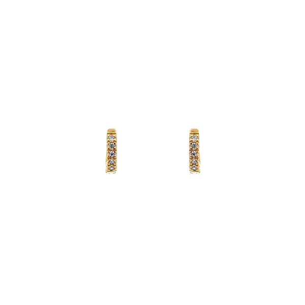 Gold Circular Earrings with Zircons