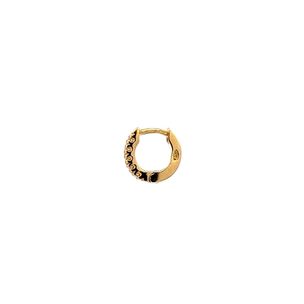 Gold Circular Earrings with Zircons